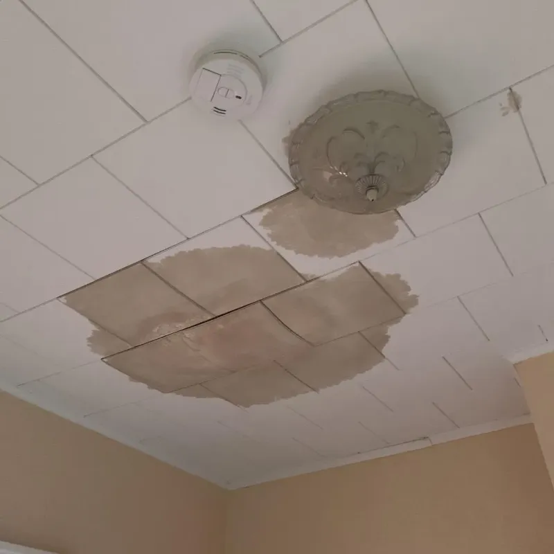 Ceiling Water Damage Repair in Cloverdale, VA