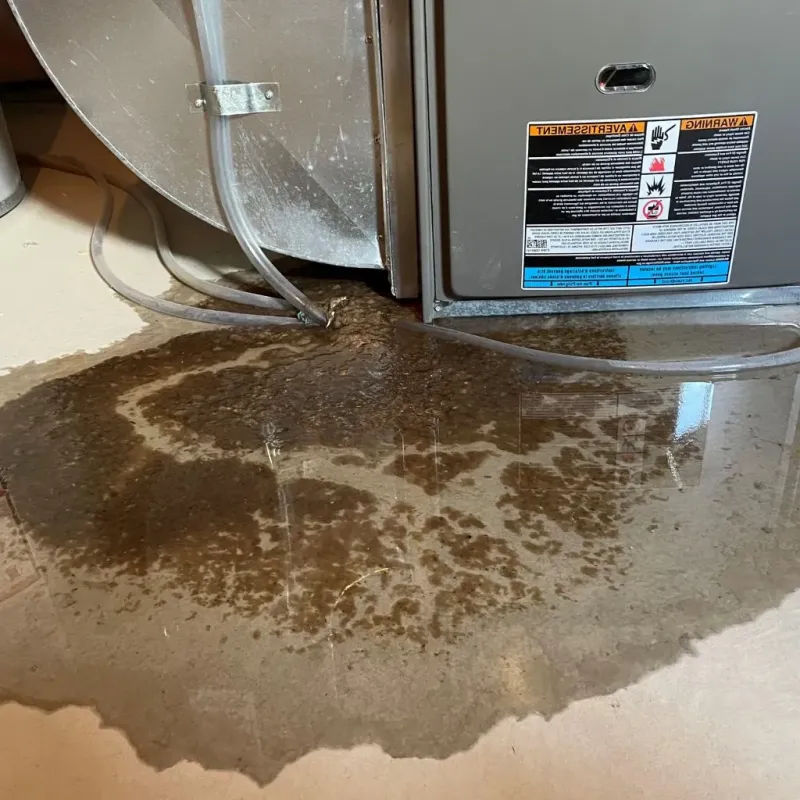 Pipe Burst and Leak Restoration in Cloverdale, VA