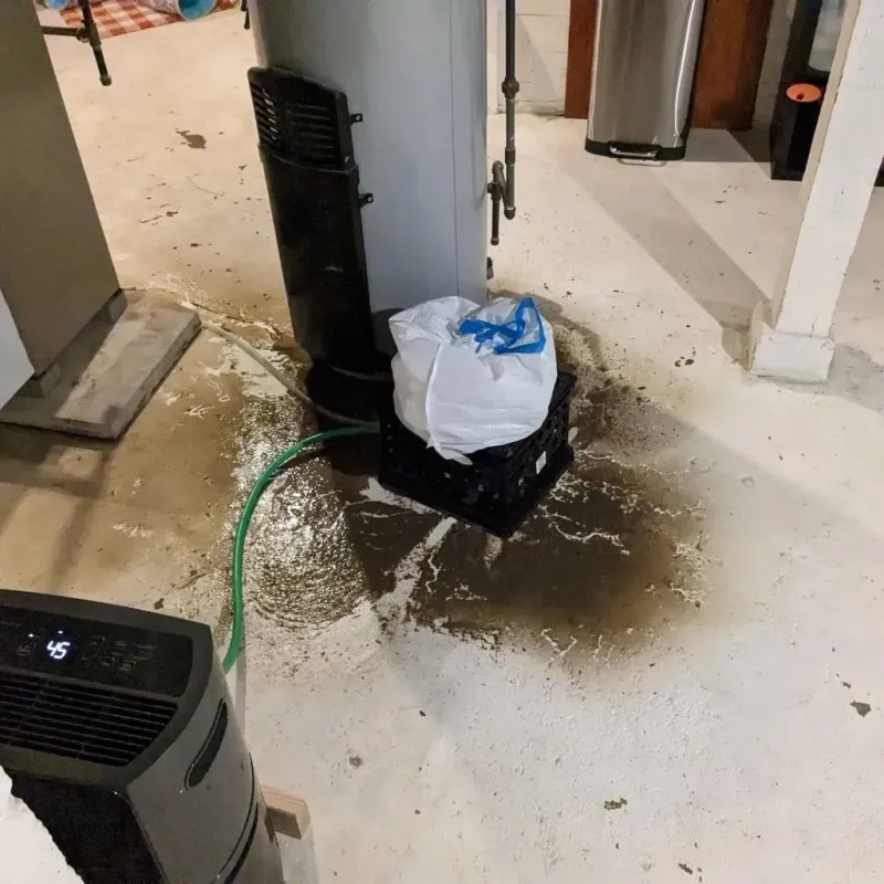 Sewage Backup Cleanup Service in Cloverdale, VA